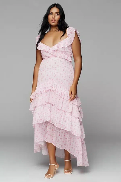 Amy Jane London Bellara Plus Tiered Ruffle Midi Dress In Pink