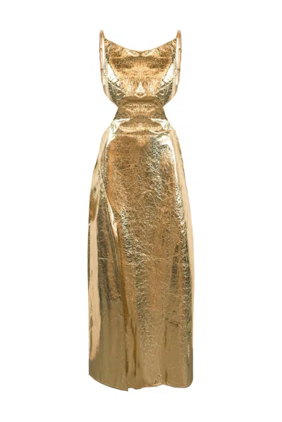 Amy Lynn Women's Jennifer Gold Metallic Maxi Dress