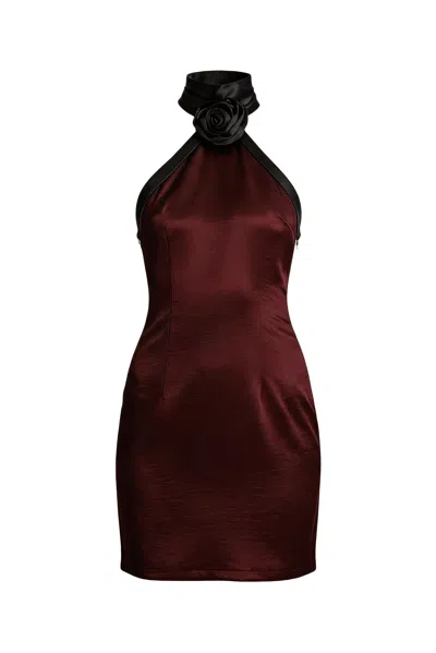 Amy Lynn Women's Rosella Satin Halterneck Mini Dress In Brown