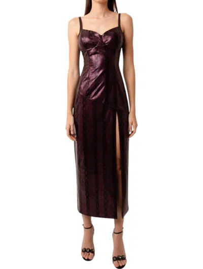 Amylynn Saskia Dress In Maroon In Multi