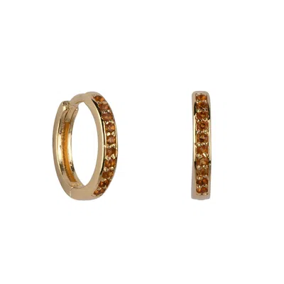 Ana Dyla Women's Gold Odyssey Citrine Hoops In Brown