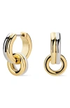 Ana Luisa Asher Drop Huggie Hoop Earrings In Gold