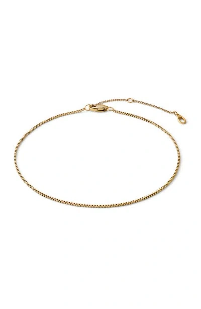 Ana Luisa Gold Anklet