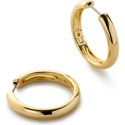 Ana Luisa Gold Hoop Earrings Giulia Large
