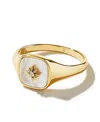 Ana Luisa Gold Signet Ring In Gold
