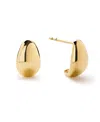 Ana Luisa Gold Stud Earrings In Gold