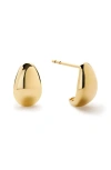 Ana Luisa Gold Stud Earrings In Gold