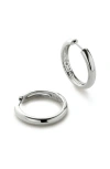 Ana Luisa Hoop Earrings In Metallic