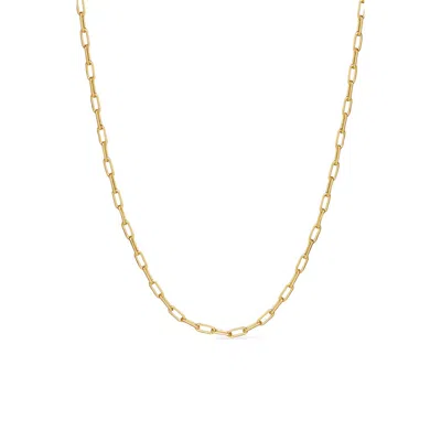 Ana Luisa Link Chain Necklace In Gold
