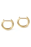 Ana Luisa Mini Huggie Hoop Earrings
