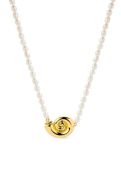 Ana Luisa Shell Necklace In Gold