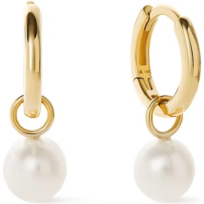 Ana Luisa Small Gold Hoop Earrings