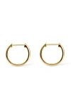 Ana Luisa Small Slim Endless Hoops In Gold
