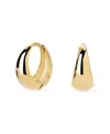 Ana Luisa Solid Yellow Gold In Gold