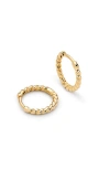 Ana Luisa Solid Yellow Gold In Gold