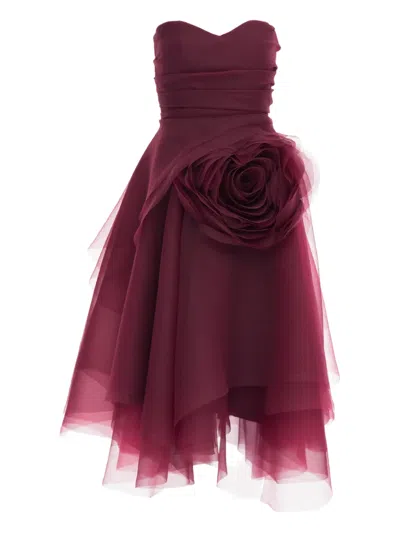 Ana Radu Floral-appliqué Strapless Dress In Burgundy