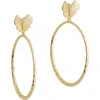 Anabel Aram Jewelry Butterfly Hoop Earrings In Multi