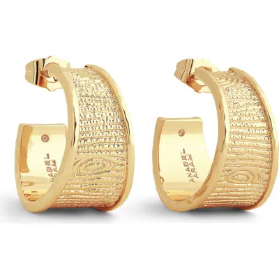 Anabel Aram Jewelry Enchanted Forest Bark Hoop Earrings In Gold