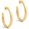 Anabel Aram Jewelry Medium Farrier Hoop Earrings In Gold