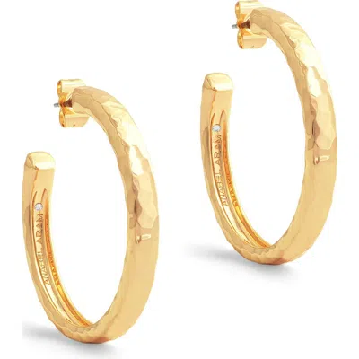Anabel Aram Jewelry Medium Farrier Hoop Earrings In Gold