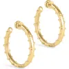 Anabel Aram Jewelry Medium Milos Hoop Earrings In Gold