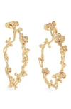 Anabel Aram Jewelry Orchid Hoop Earrings In Gold