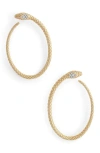 Anabel Aram Jewelry Serpent Hoop Earrings In Gold