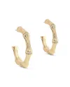 Anabel Aram Pave Bamboo Medium Hoop Earrings In 18k Gold Plated