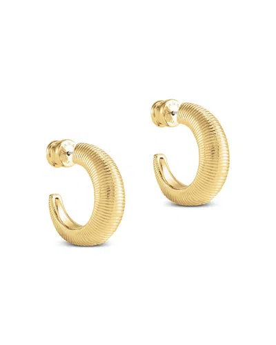 Anabel Aram Safari Hoop Earrings In Gold