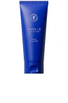 Anablue Scalp Cleanser In N,a