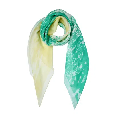 Anamaison Women's Willow Reflection Silk Ggt Scarf