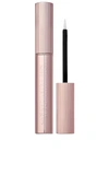 Anastasia Beverly Hills Brow Genius Serum In N,a