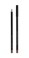 Anastasia Beverly Hills Lip Liner Raisin In Purple