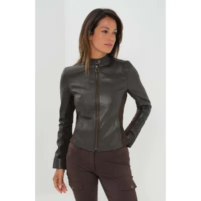 Anatomie Kensington Mixed Media Moto Leather Jacket In Brown