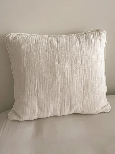 Anaya Easy Cotton Gauze Euro Pillow With Down Alternative Insert In Beige