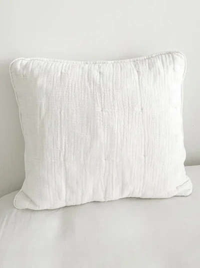 Anaya Euro Cotton Gauze Down Alternative Euro Pillow In Beige