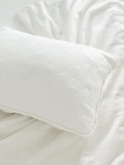Anaya Euro Cotton Gauze Quilt & Pillow Set In White