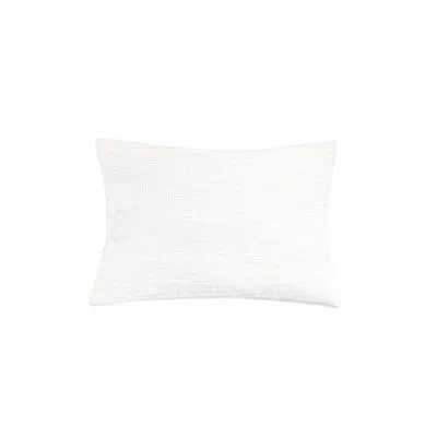 Anaya Seaside Smooth Indoor Outdoor Pillow In White