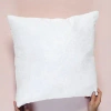 Anaya Square Pillow Insert