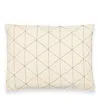 Anchal Graph Throw Pillow In White