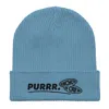 Anchor & Crew Light Blue Purrr Gen. Organic Cotton Embroidered Beanie - Men In Blue