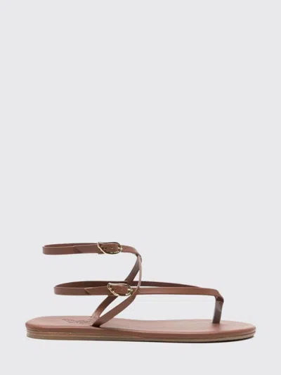Ancient Greek Sandal Heeled Sandal Woman In Brown