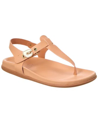 Ancient Greek Sandals Alki Leather Sandal In Brown