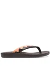 Ancient Greek Sandals Ammos Two-tone Leather Flip-flops In Brown