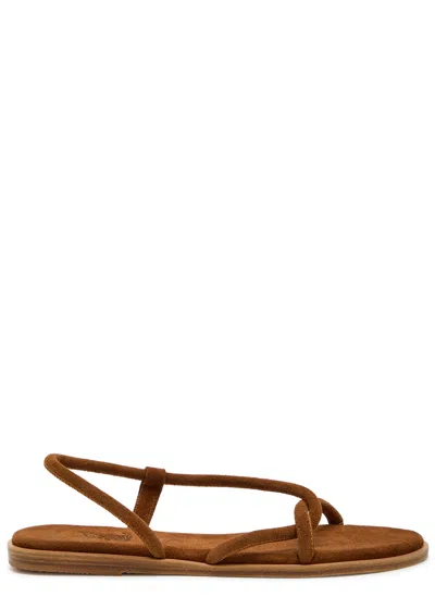 Ancient Greek Sandals Bomba Suede Sandals In Brown