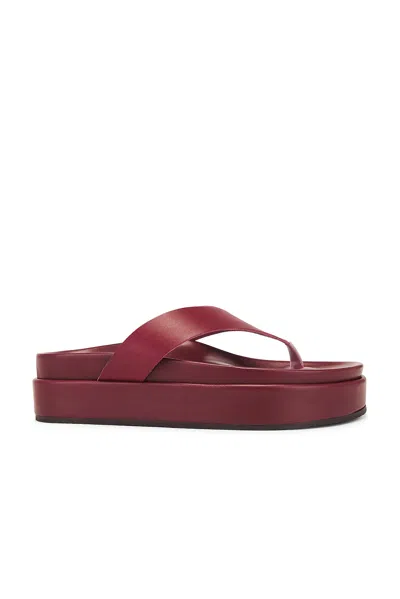 Ancient Greek Sandals Charys 2 Flatform Vachetta Sandal In Cherry