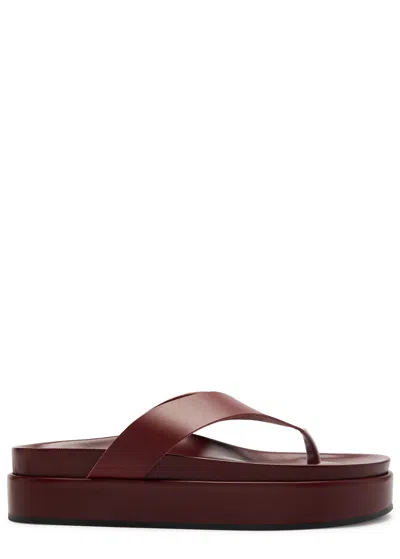 Ancient Greek Sandals Charys 40 Leather Flatform Thong Sandals In Dark Red