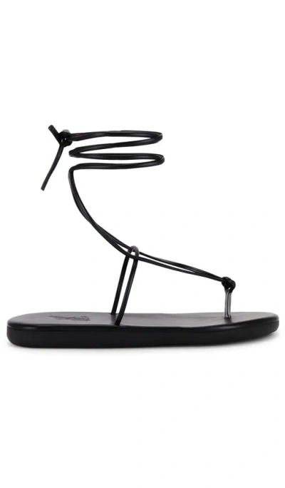 Ancient Greek Sandals Chordi Flip Flop Sandal In 黑色