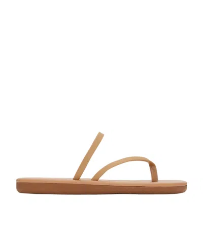 Ancient Greek Sandals Clip Toe Flat-soled Slippers In Brown