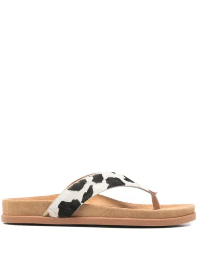 Ancient Greek Sandals Cow-embellishment Sandals In Brown